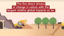 Global Assessment Animation